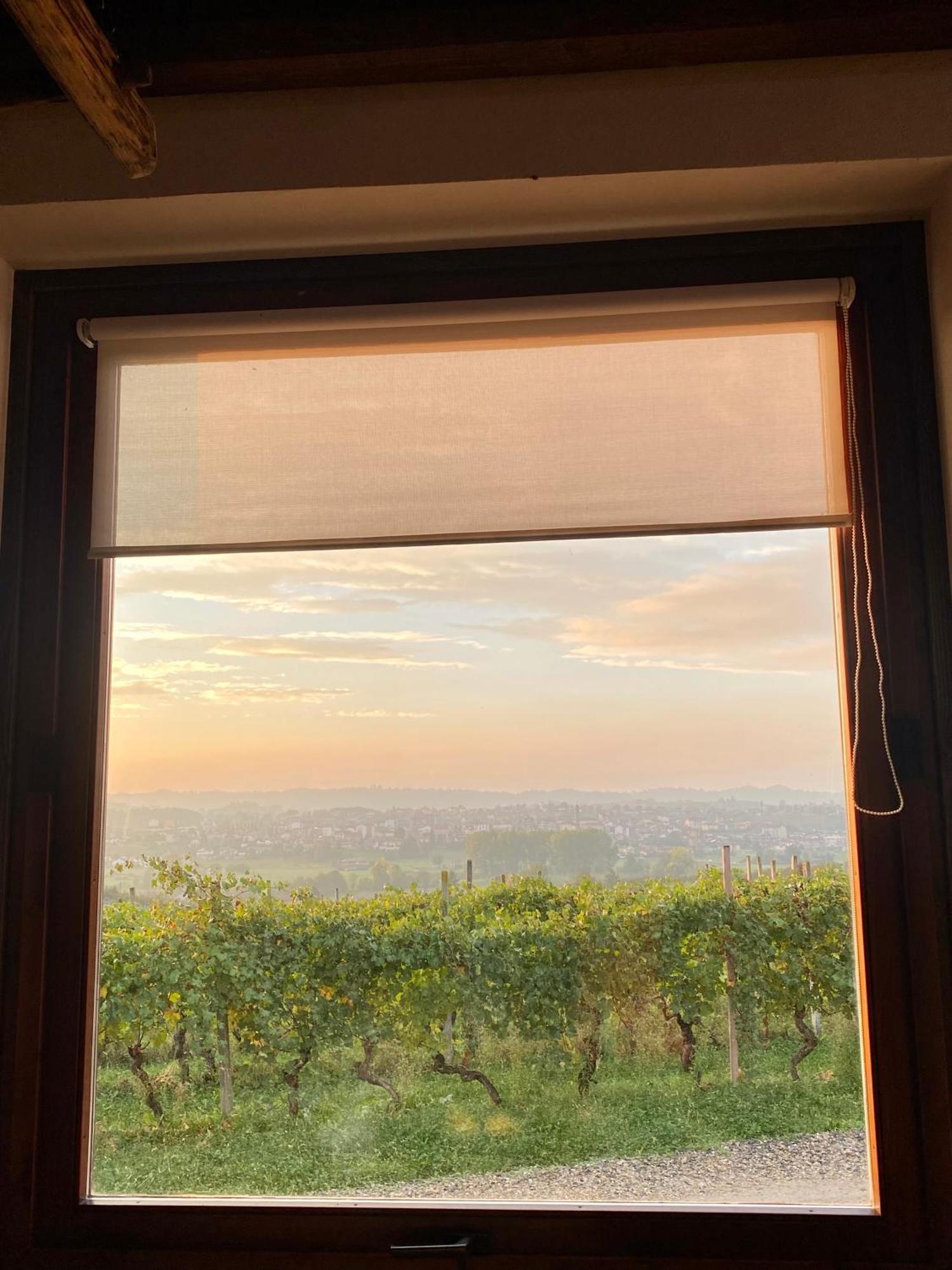 Tenuta Agricola La Cava- Cantina E Agriturismo San Damiano dʼAsti Eksteriør billede
