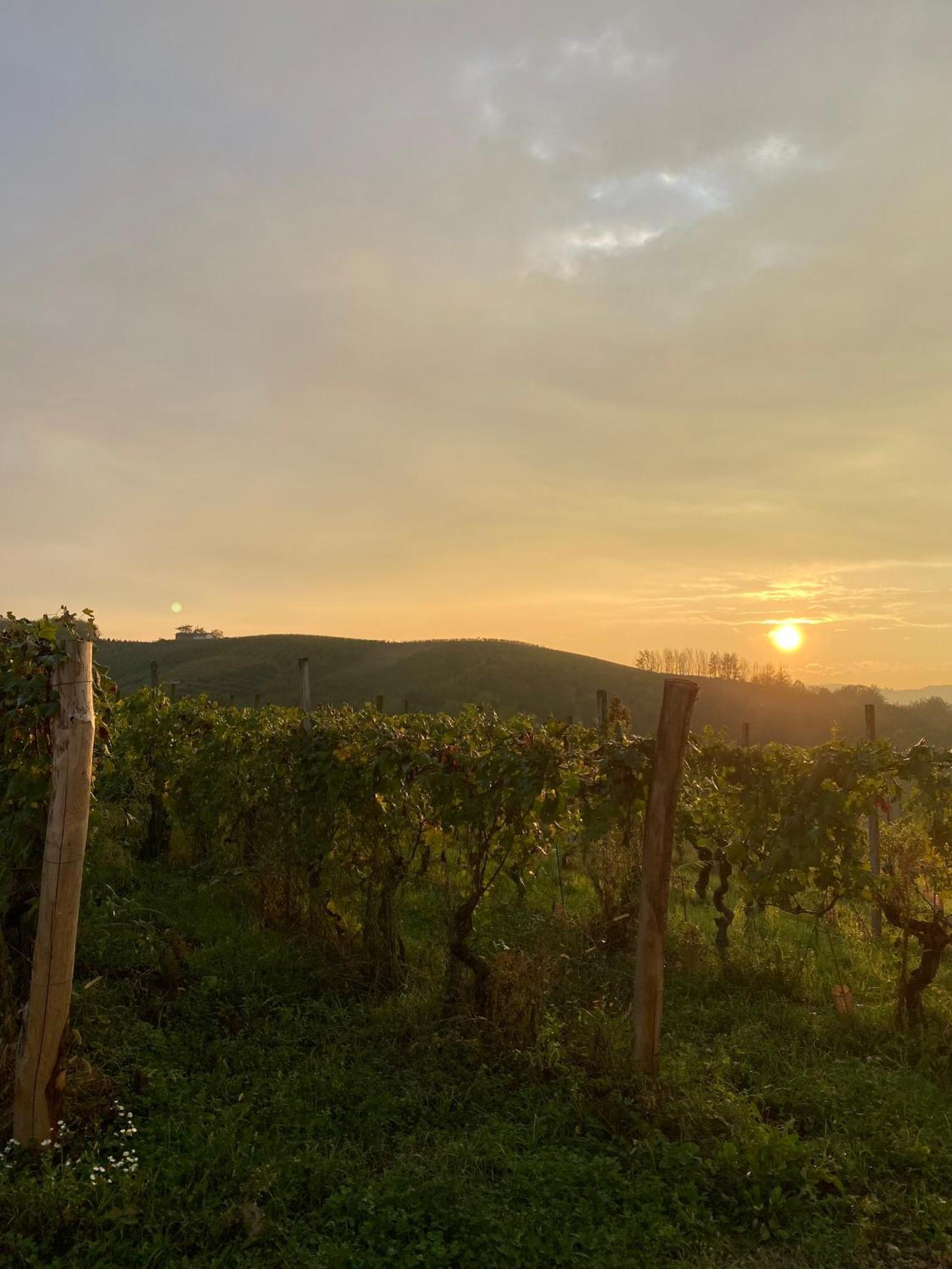 Tenuta Agricola La Cava- Cantina E Agriturismo San Damiano dʼAsti Eksteriør billede